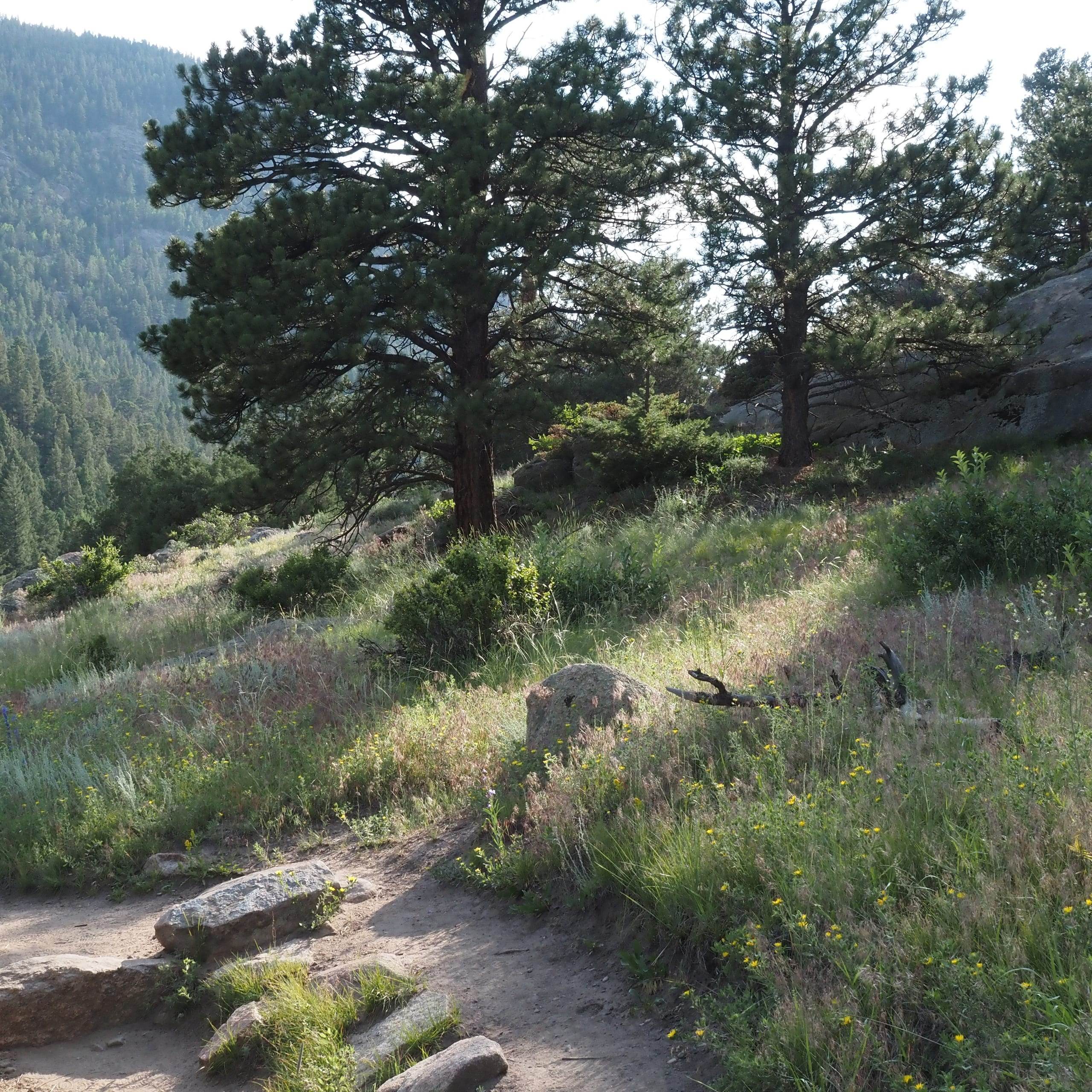 Rocky Mountain National Park, Colorado
