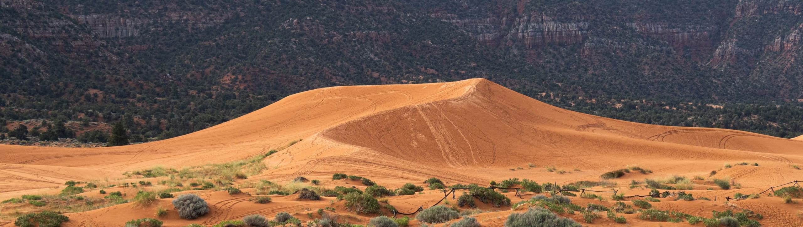 Coral Pink Sand Dunes State Park, Utah