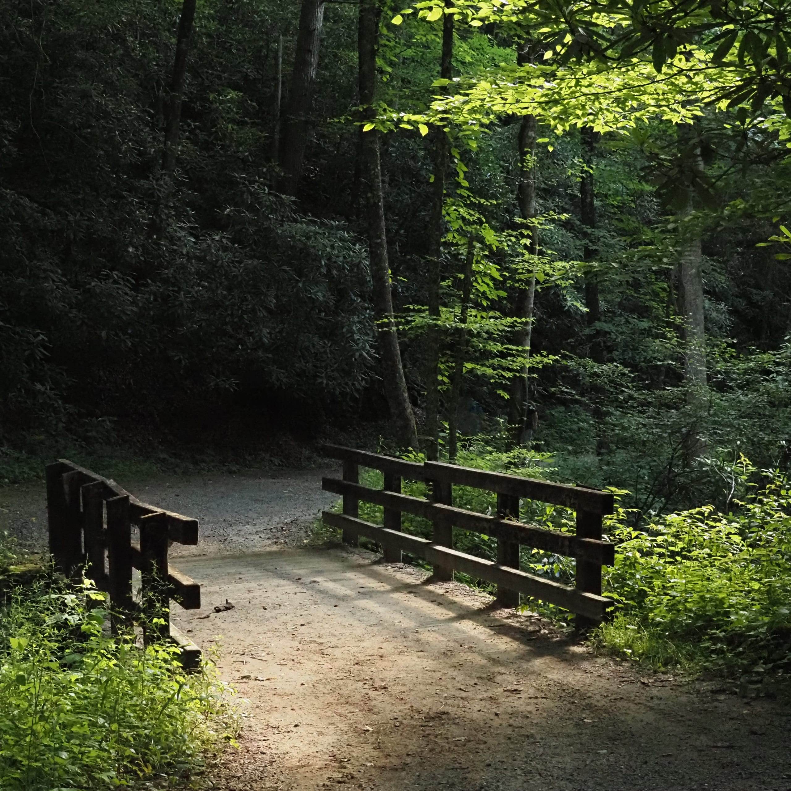 Great Smoky Mountains National Park, North Carolina